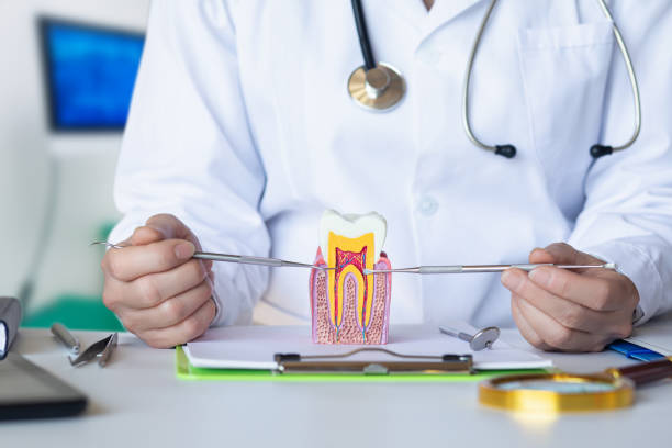 Best Emergency Gum Treatment in Orange, OH